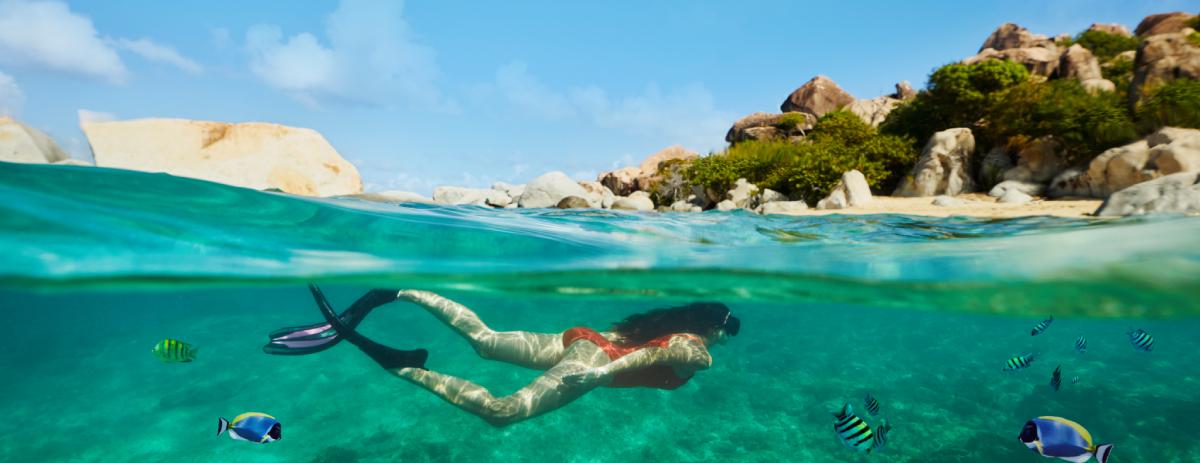 Les meilleurs sites de plongée dans les Antilles - background banner